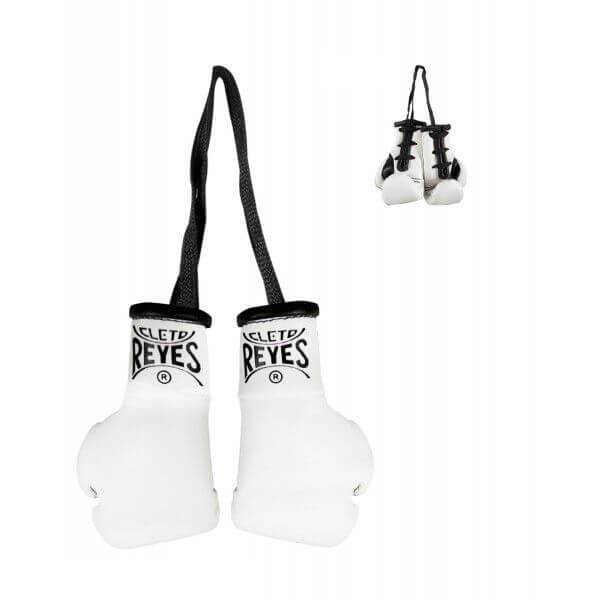 Cleto reyes sale mini boxing gloves