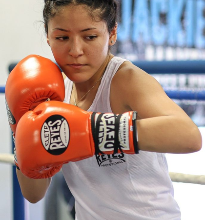 Training Gloves
