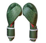 Cleto Reyes Mexican Collection Hook & Loop Training Gloves – Green
