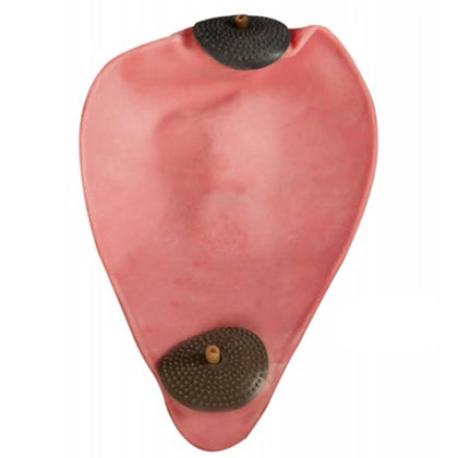 Cleto Reyes Natural Latex Bladders (2 valves)